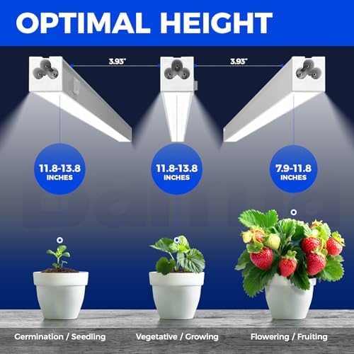 Barrina T5 Grow Lights for Indoor Plants, 5000K Full Spectrum, 1FT, 4 Packs - Image 3