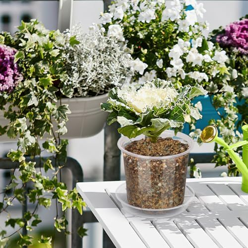 20 Pack 4 Inch Clear Nursery Pots with Drainage and Saucer, Clear Plastic Planter Pots for Plants, Flexible Seed Starting Pots for Succulents, Small Herbs, Annual Flowers (4 Inch) - Image 6