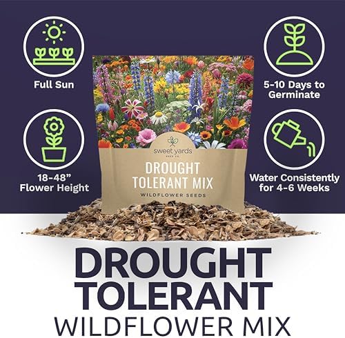 Drought Tolerant Wildflowers Mix – Extra Large Packet – Over 7,500 Open Pollinated Non-GMO Seeds – 21 Different Dryland Species - Image 6
