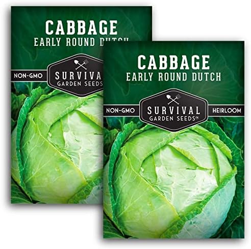 Early Round Dutch Cabbage Seeds - Survival Garden Seeds (2 Packs) by SurvivalGardenSeeds