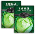 Early Round Dutch Cabbage Seeds - Survival Garden Seeds (2 Packs) by SurvivalGardenSeeds