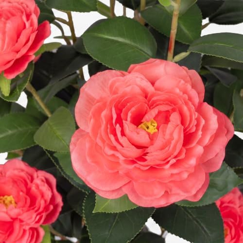 2 Pack 34'' Artificial Camellia Tree with 20 Pink Flowers - Image 3