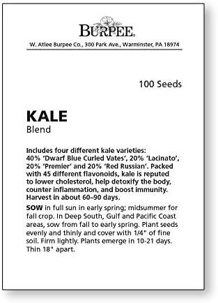 Burpee Kale Blend Kale Seeds 100 seeds - Image 3
