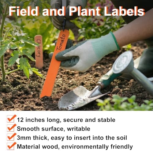 Weysat 200 Pcs 12" Wood Plant Labels for Field or Containers Plant Tags Wood Garden Labels for Seedling Stakes Markers Nursery Seed Tags with Smooth Surface for Pot Herbs Flowers Vegetables (Orange) - Image 3