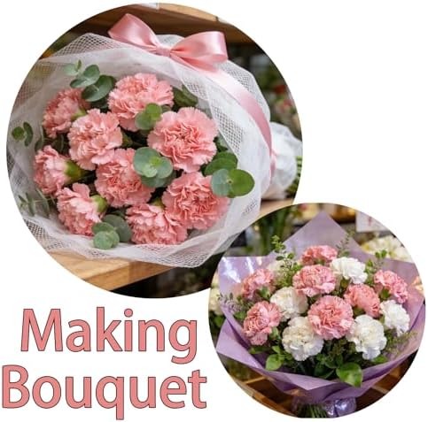 Carnation Seeds for Planting, Annual Fragrant Flowers, Cut-Flower Mix - Image 5