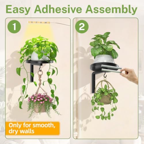 Plant Wall Hanger with Grow Light for Indoor, Metal Hook, Black - Image 6