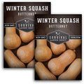 Butternut Squash Seeds for Planting - 2 Packs by SurvivalGardenSeeds