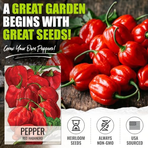 Seed Needs Red Habanero Hot Pepper Seeds to Plant Vegetables - 2 Packs - Image 2