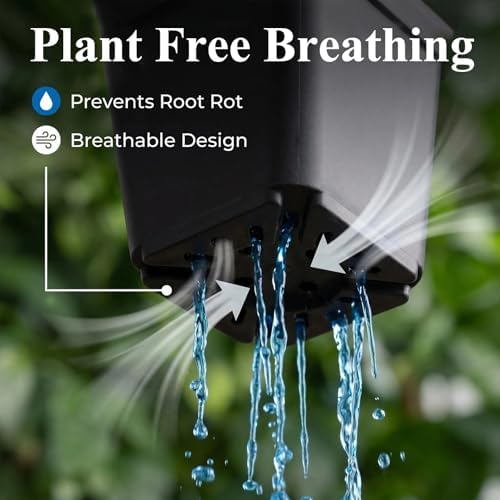 50 Packs Square Nursery Pots for Plants 2.2 Inch Seedling Pots - Image 5