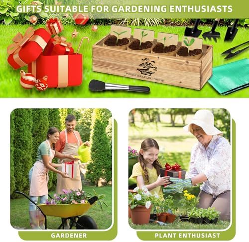 Premium Bonsai Kit,Complete Bonsai Starter Kit with Wooden Gift Box,repotting mat, Burlap Pots & Gardening Tools, DIY Bonsai Plant Set for Adults & Beginners (Seeds Excluded)Birthday Thanksgiving gift - Image 7
