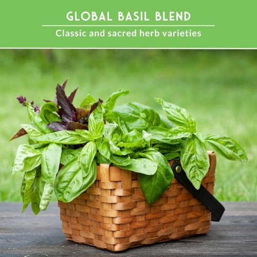 Basil Seeds 5 Variety Collection - Survival Garden Seeds - Image 5