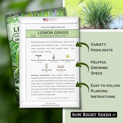 Sow Right Seeds - Lemon Grass Seed for Planting Mosquito Repellent Herbs - Image 2