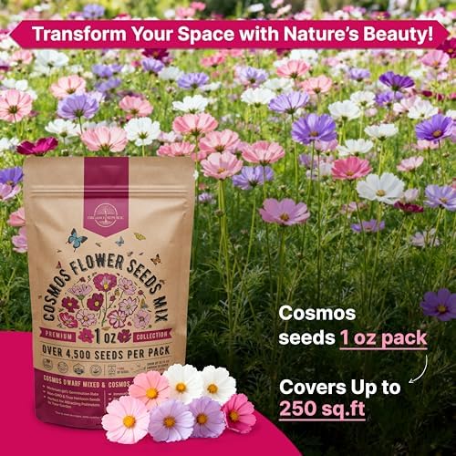 Cosmos Flower Seeds Pack 1 oz - 4,500 Non-GMO Heirloom Annual Seeds for Planting Indoor & Outdoor Gardening, Flower Seed for Garden in Resealable Packet, Floral Mix for Pollinators Perennial Mix - Image 4