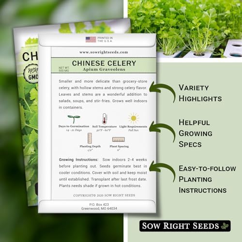 Sow Right Seeds - Chinese Celery Seed for Planting Outdoor Vegetable 4pk - Image 2