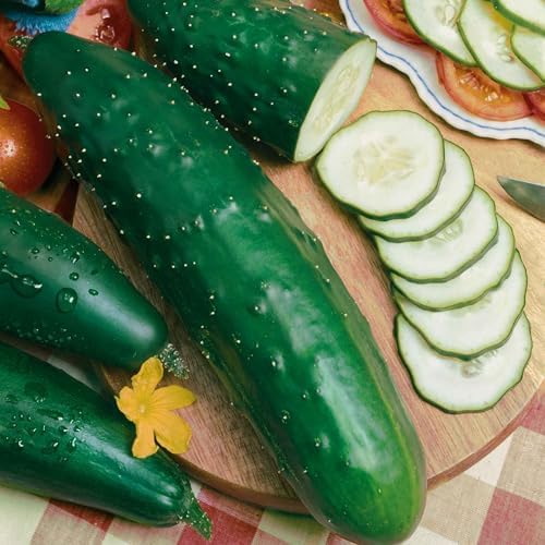 Eden Brothers Cucumber Seeds - Ashley, Packet by EdenBrothers