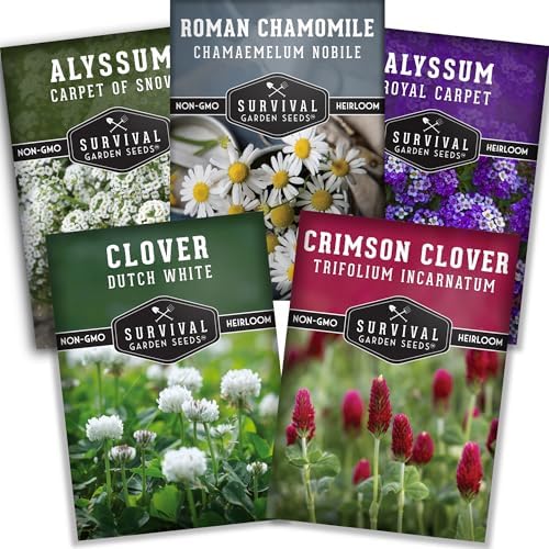 Flowering Ground Cover Seeds for Planting – 5 Variety Collection by SurvivalGardenSeeds