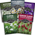 Flowering Ground Cover Seeds for Planting – 5 Variety Collection by SurvivalGardenSeeds