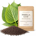 Authentic Korean Perilla Seeds (Kkaennip/Shiso/Sesame Leaf) by Unknown