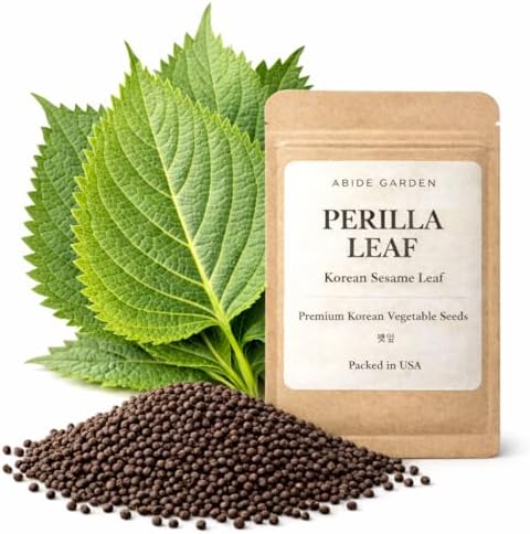 Authentic Korean Perilla Seeds (Kkaennip/Shiso/Sesame Leaf) by Unknown