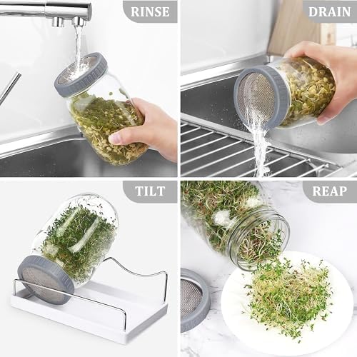 Organic Seed Sprouting Jar Kit – 2 × 32 oz Wide-Mouth Mason Jars with Stainless-Steel Sprouter Lids & Stand, Blackout Sleeves, Drain Tray – Grow Broccoli, Alfalfa & Bean Microgreens - Image 4