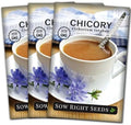 Sow Right Seeds - Chicory Seed for Planting Perennial Wildflower Garden 3pk by SowRightSeeds
