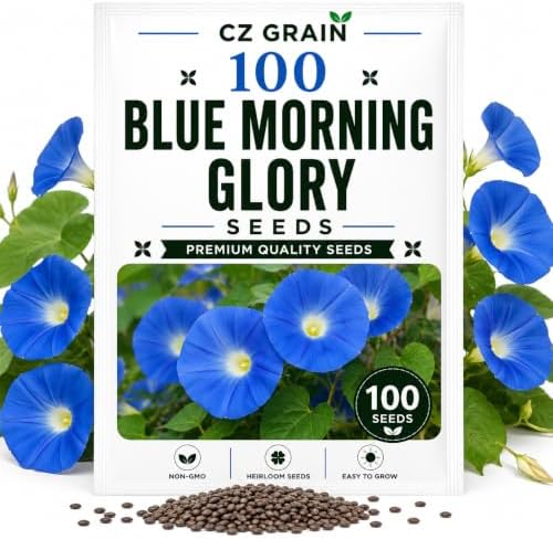 100 Blue Morning Glory Seeds | Climbing Flower Seeds for Planting by CZGrain