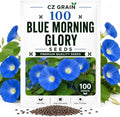 100 Blue Morning Glory Seeds | Climbing Flower Seeds for Planting by CZGrain