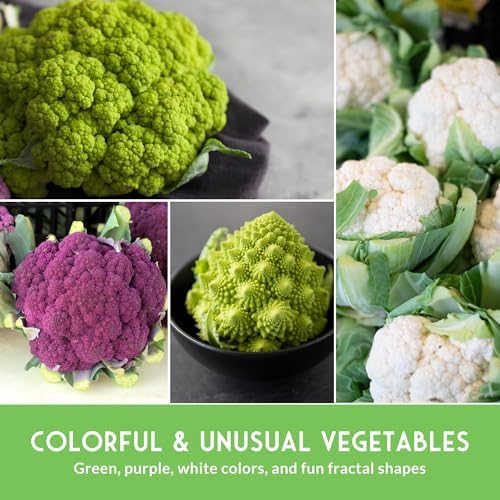 Cauliflower Seeds 4 Variety Pack for Planting – Survival Garden Seeds - Image 5