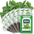 Mint Seed Pods for All Hydroponics Growing Systems, 12 Pods Herb Kit with Seeds of Peppermint, Grow Your Own Herb Garden at Home by HiHOYA