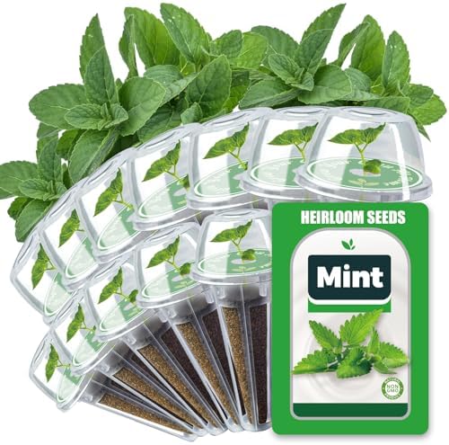 Mint Seed Pods for All Hydroponics Growing Systems, 12 Pods Herb Kit with Seeds of Peppermint, Grow Your Own Herb Garden at Home by HiHOYA