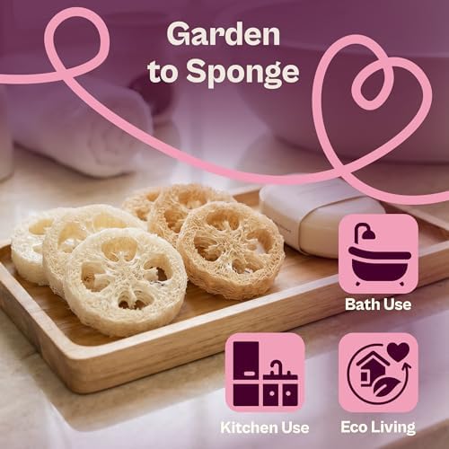 SVI 45 Luffa Sponge Gourd (Luffa Aegyptica) Seeds - Loofah, Natural Sponge, Non GMO Heirloom Seed Packets - Annual Vegetable Seeds for Outdoors, Home Garden, Vertical Growing Systems - Image 4