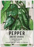 Seed Needs Ancho Grande Pepper Seeds to Plant Vegetables - 1 Pack by SeedNeeds