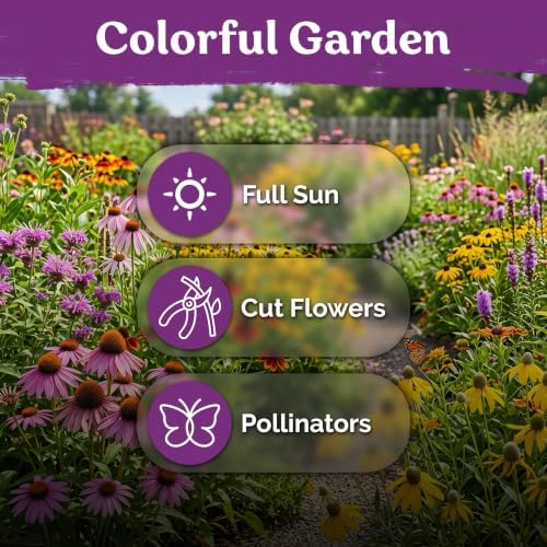 550 Mixed Coneflower Seeds for Planting, Heirloom Flower Seeds - Image 6