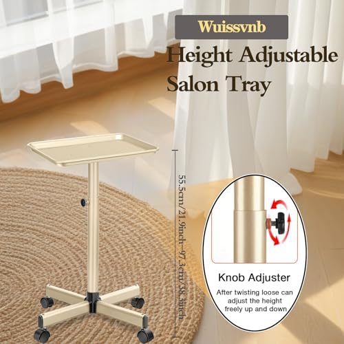Salon Tray, Champagne Gold, Adjustable Height, Easy to Install - Image 4