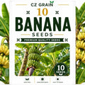 Garden Seeds for Planting, 10 Banana by CZGrain