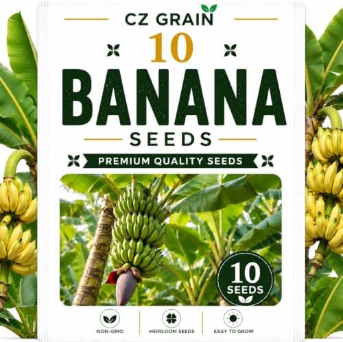 Garden Seeds for Planting, 10 Banana by CZGrain