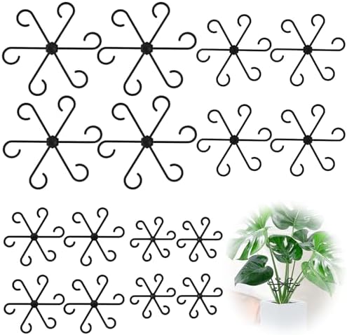 16pcs Plant Stem Support, Monstera Plant Support for Indoor Plants by GLCSC