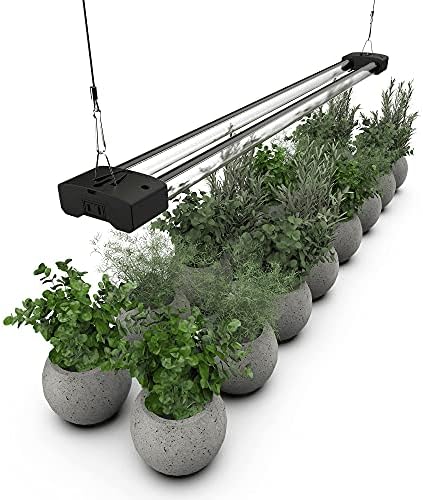 BoostGro LED Grow Light Full Spectrum 5000K Daylight + 660nm Red Linkable Indoor Plant Lighting Fixture (3 FT, Black) by DYMOND