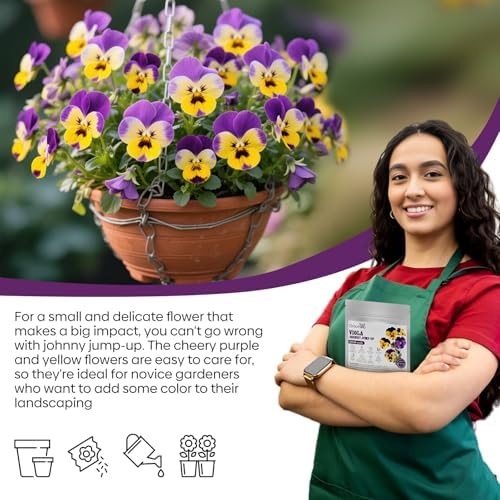 Johnny Jump Up Seeds,10000+ Perennial Wild Violet Seeds for Planting - Image 5