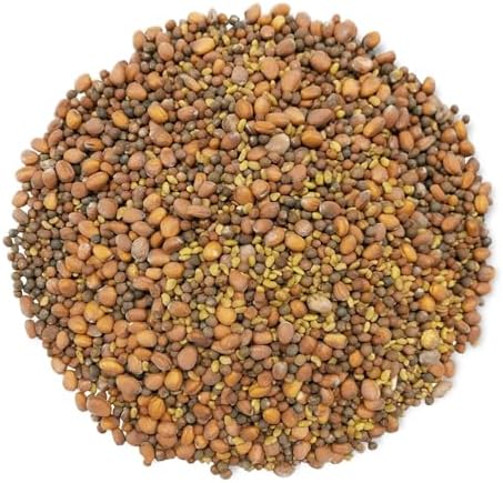Food to Live Organic Spicy Mix of Sprouting Seeds, 3 Pounds — Non-GMO Broccoli, Radish, Alfalfa, Raw, Rich Germination Rate, Non-Irradiated, Pure, Kosher, Vegan Superfood, Bulk, Rich in Sulforaphane - Image 3