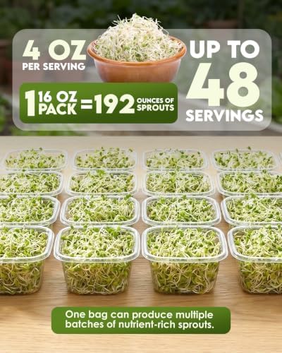 Nature Jim's Sprouts - Organic Alfalfa Sprouting Seeds – Non-GMO - 16 oz - Image 3