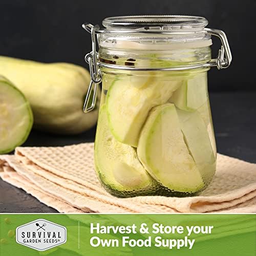 Grey Zucchini Seeds for Planting - 3 Packs - Image 5