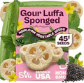 SVI 45 Luffa Sponge Gourd (Luffa Aegyptica) Seeds - Loofah, Natural Sponge, Non GMO Heirloom Seed Packets - Annual Vegetable Seeds for Outdoors, Home Garden, Vertical Growing Systems by SVI