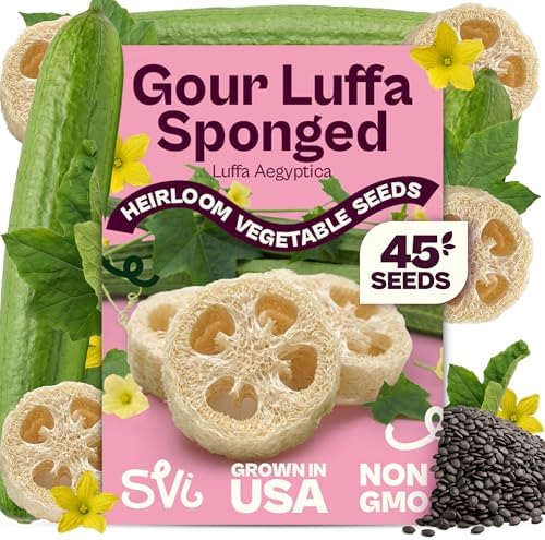 SVI 45 Luffa Sponge Gourd (Luffa Aegyptica) Seeds - Loofah, Natural Sponge, Non GMO Heirloom Seed Packets - Annual Vegetable Seeds for Outdoors, Home Garden, Vertical Growing Systems by SVI