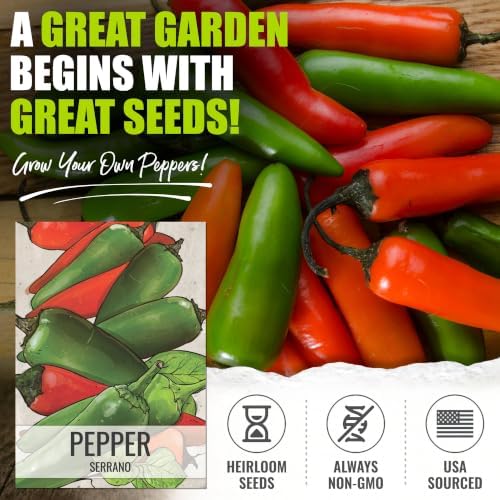 Seed Needs Serrano Hot Pepper Seeds to Plant Vegetables - 10 Packs - Image 2