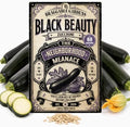 Black Beauty Zucchini Seeds for Planting, Heirloom Zucchini Vegetable Seeds, Smooth Dark Green Summer Squash with Tender Texture for Grilling, Baking, Roasting and Fresh Harvests by BraggableGardens