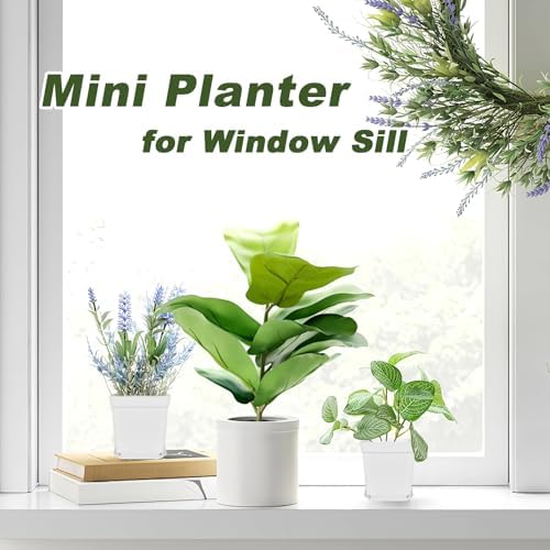 Anyumocz 24Pcs 3" Square Plastic Plant Pots,White Nursery Pots with Saucers,Seedling Nursery Transplanting Planter Container for Plants,Garden,Flower,Home,Office,Balcony Decor,Indoor,Outdoor - Image 4