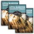 Little Bluestem Grass Seeds (3 Pack) – Survival Garden Seeds by SurvivalGardenSeeds