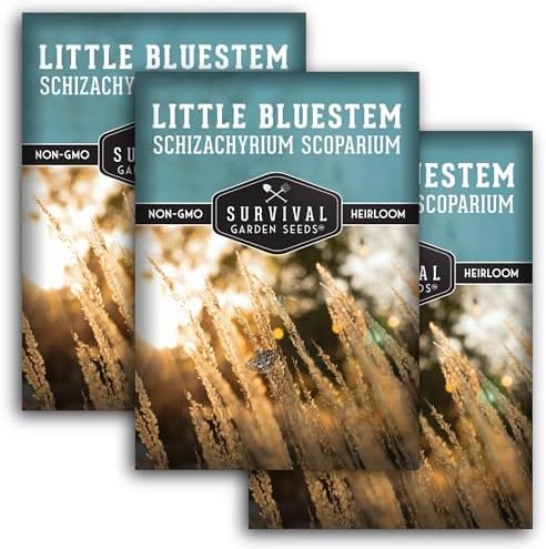 Little Bluestem Grass Seeds (3 Pack) – Survival Garden Seeds by SurvivalGardenSeeds