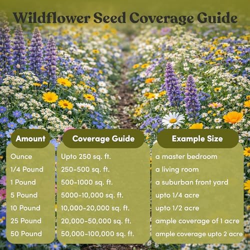 Geva Grow Northwest Wildflower Seeds Regional Mix - Organic, Non-GMO - 100% Pure Seed - 20 Different Wildflowers Seeds of Annual and Perennial, 1 LB Tub - Image 6